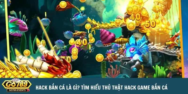 tim hieu ve hack ban ca